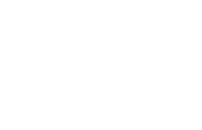 I Feel Slovenia